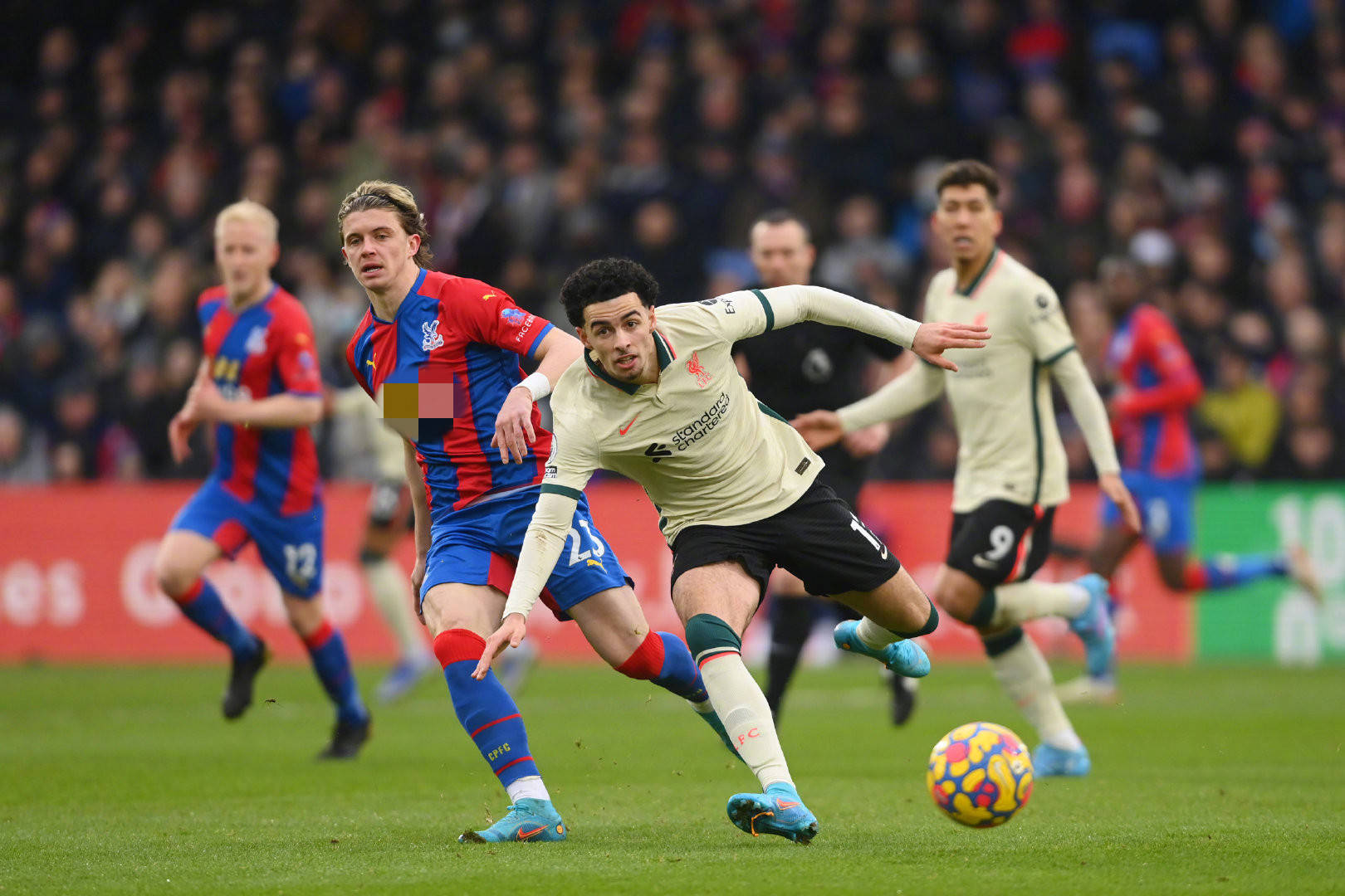 康的益处 康的益处